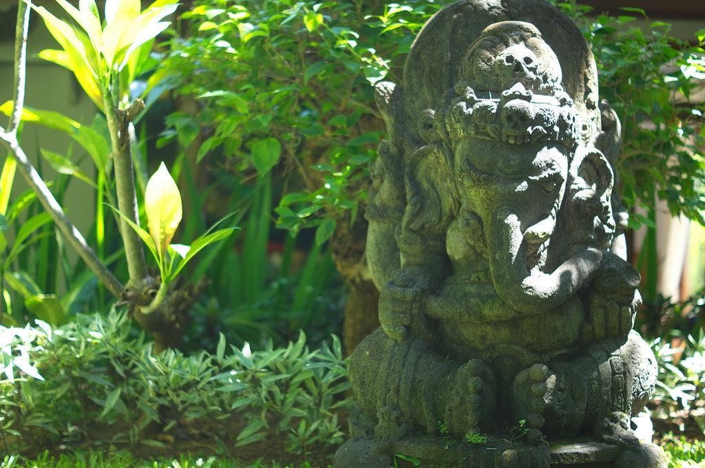 Indo Rumah Zengarden Buleleng  Room photo
