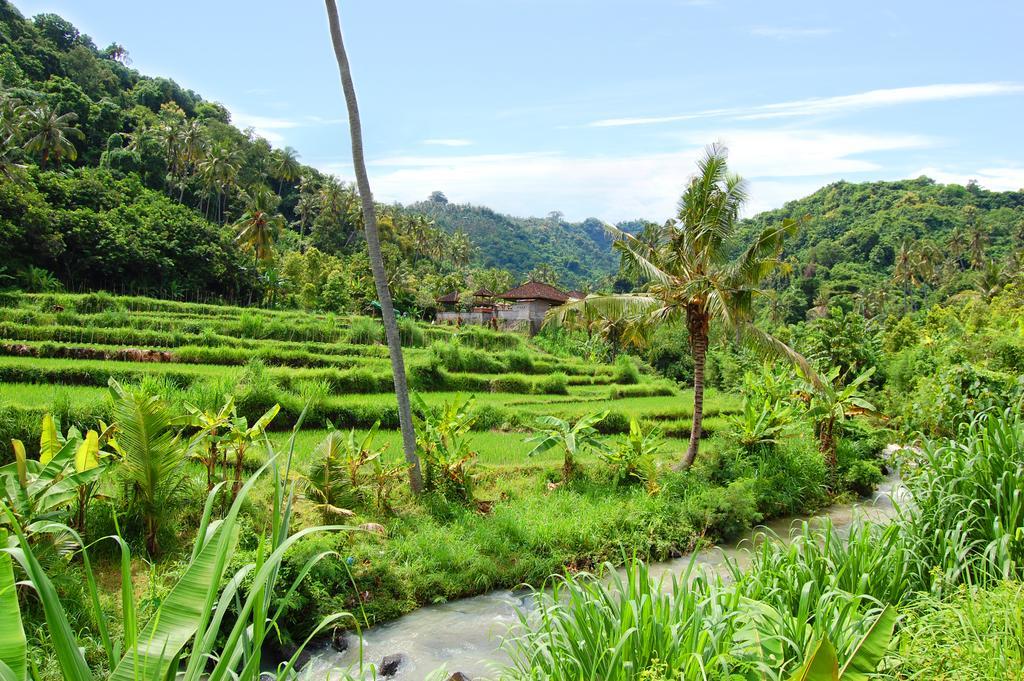 Indo Rumah Zengarden Buleleng  Exterior photo