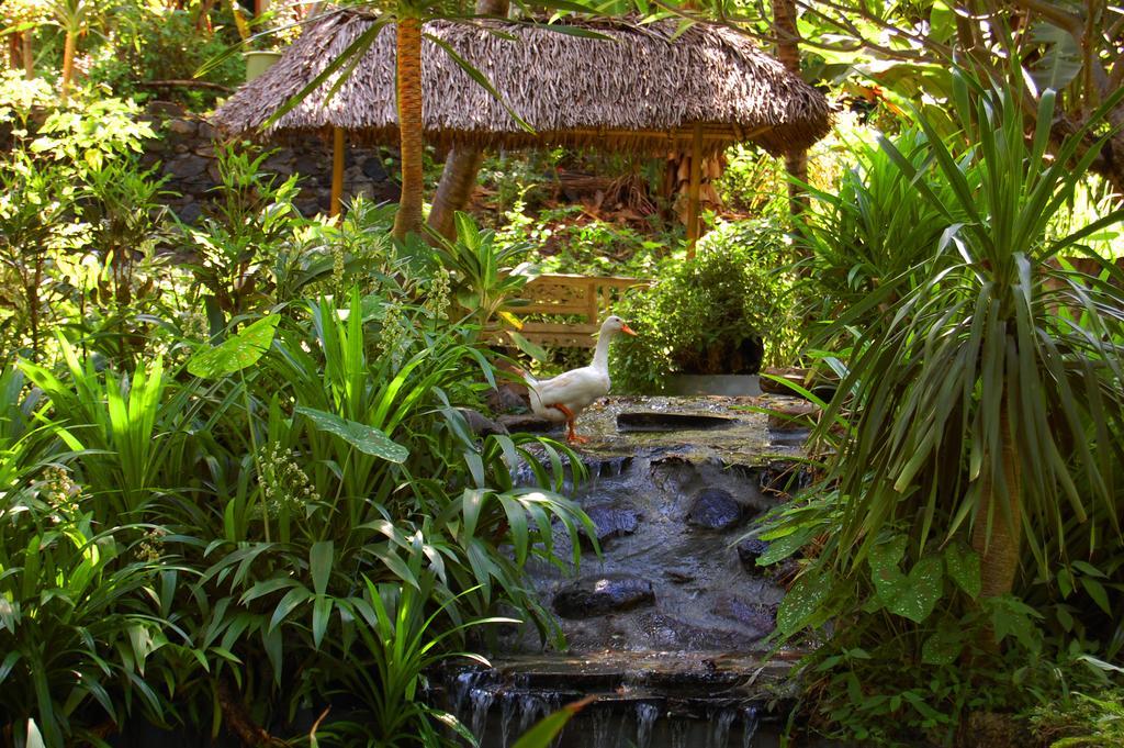 Indo Rumah Zengarden Buleleng  Exterior photo